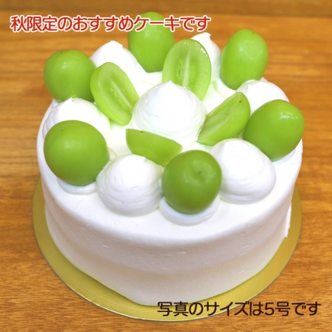 �V���C���}�X�J�b�g�̐��f�R