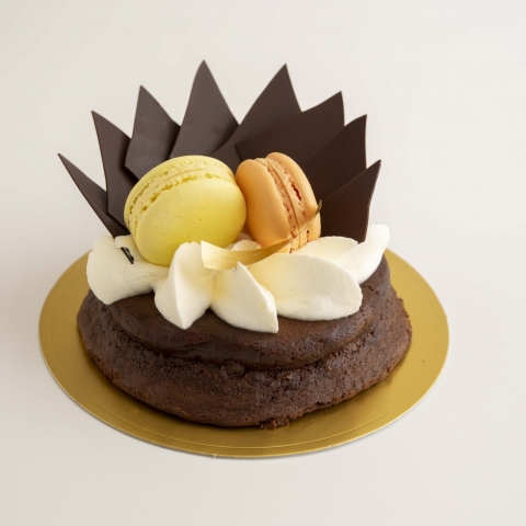 �K�g�[�V���R��