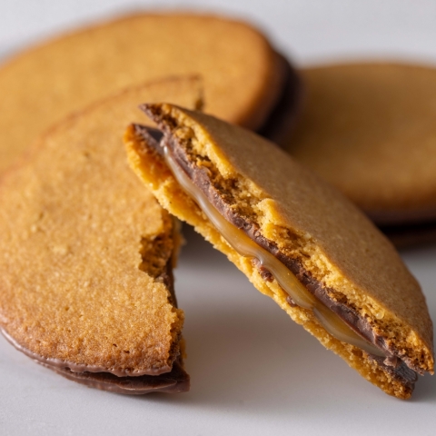 ���q�T���h�L��������