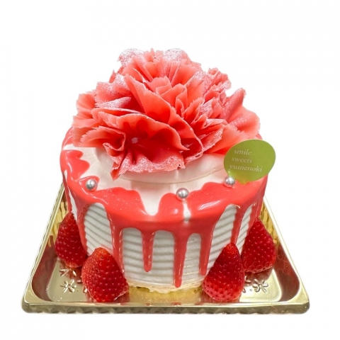 ��̓��P�[�L�S��