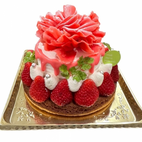 ��̓�䕂̃^���g�T��